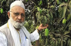 HAJI KALIM ULLAH KHAN | MANGO | TREE | LUCKNOW | SHRESHTH BHARAT