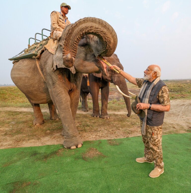 PM Modi | ASSAM | Kaziranga | JUNGLE SAFARI | SHRESHTH BHARAT |