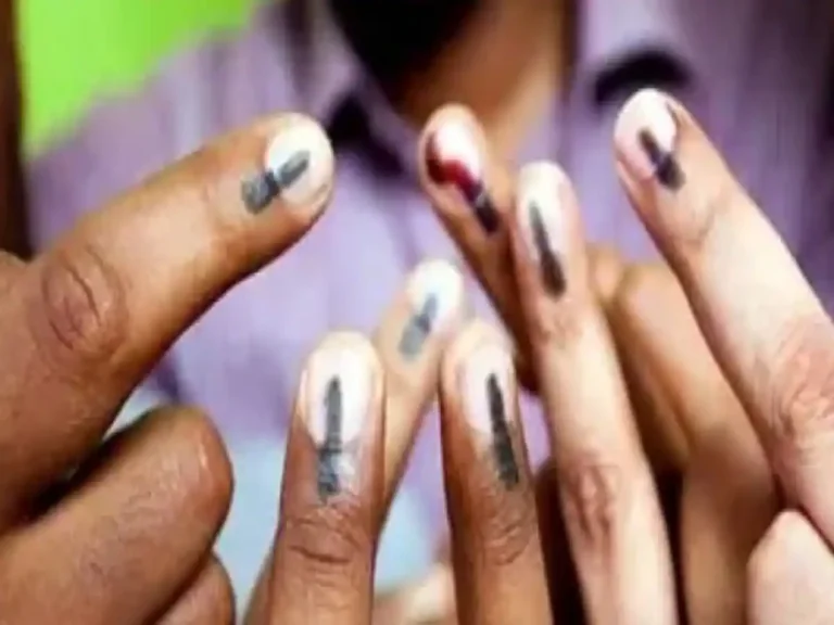 voting | lok sabha election |