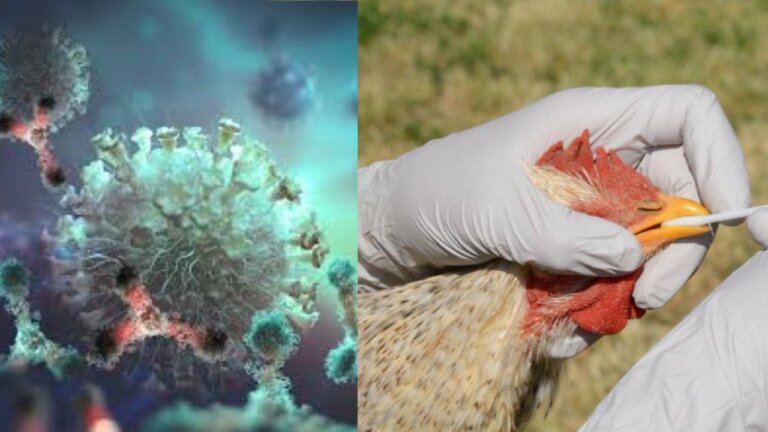 COVID19 | BIRD FLU | Disease | SHRESHTH BHARAT