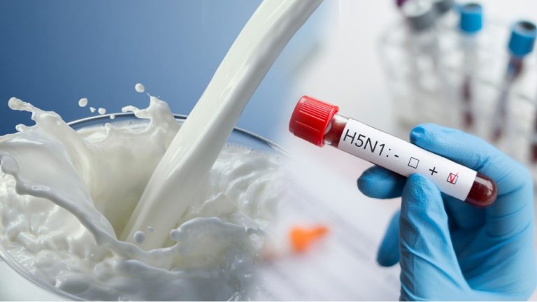 h5n1 virus | virus | milk | cow milk | shreshth bharat