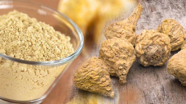 Maca root herb | HEALTH TIPS | SHRESHTH BHARAT |