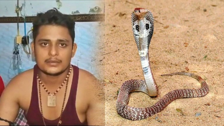Snake Bitten Man Six Times