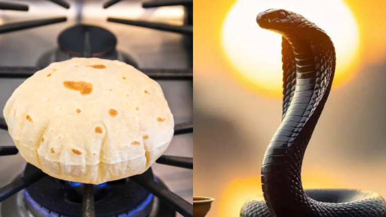 Nag Panchami 2024 why-should-we-not-eat-roti-on-nag-panchami-know-reason read here in detail