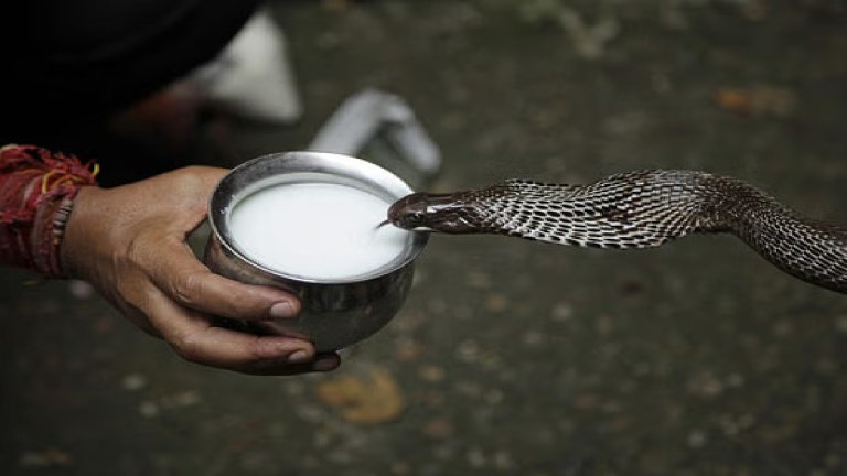 Nag Panchami 2024