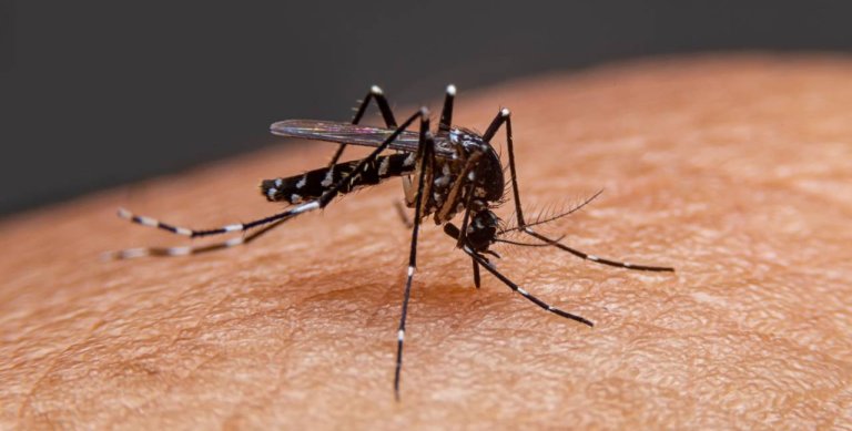 Malaria Dengue And Chikungunya Outbreak| SHRESHTH BHARAT