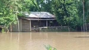 Assam Flood