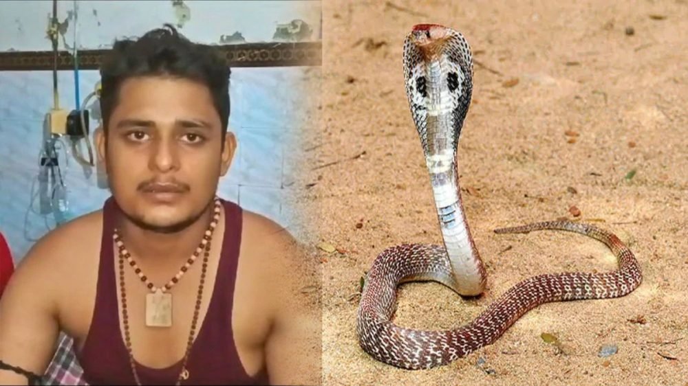 Snake Bite Vikas for the Seventh Time