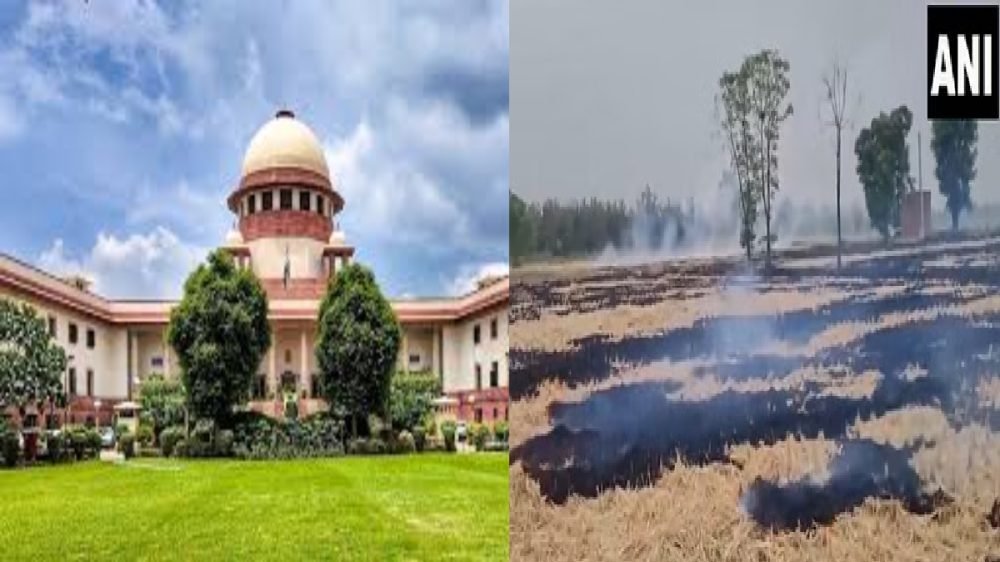 Supreme Court on Stubble Case