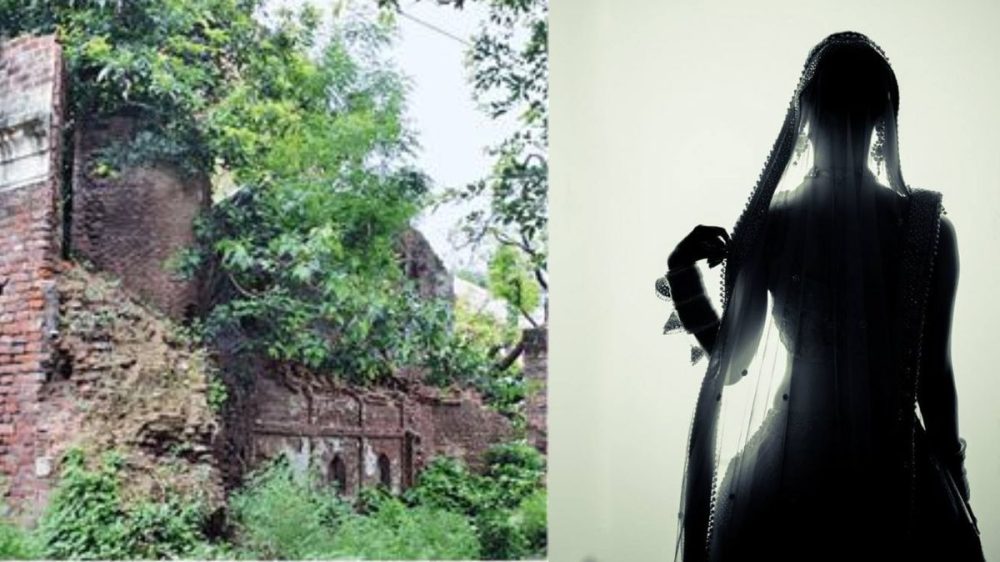 Untitled design - 2024-05-17T114922.286