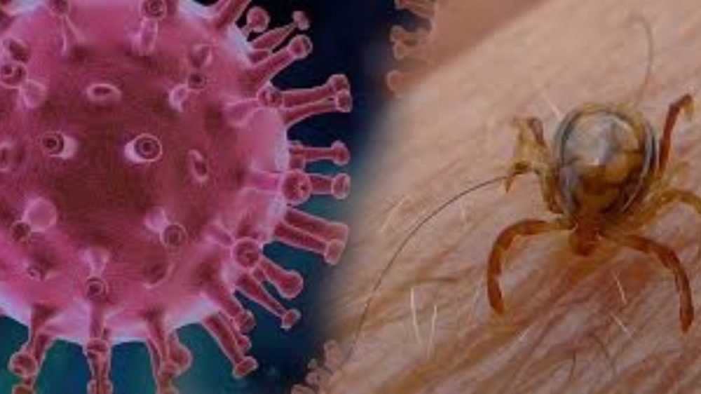 congo virus | pakistan | shreshth bharat