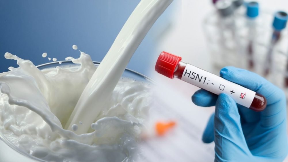 h5n1 virus | virus | milk | cow milk | shreshth bharat