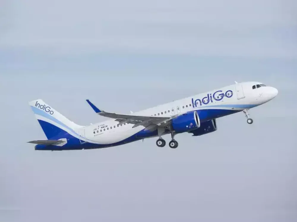 indigo-file-photo-ians-100460293