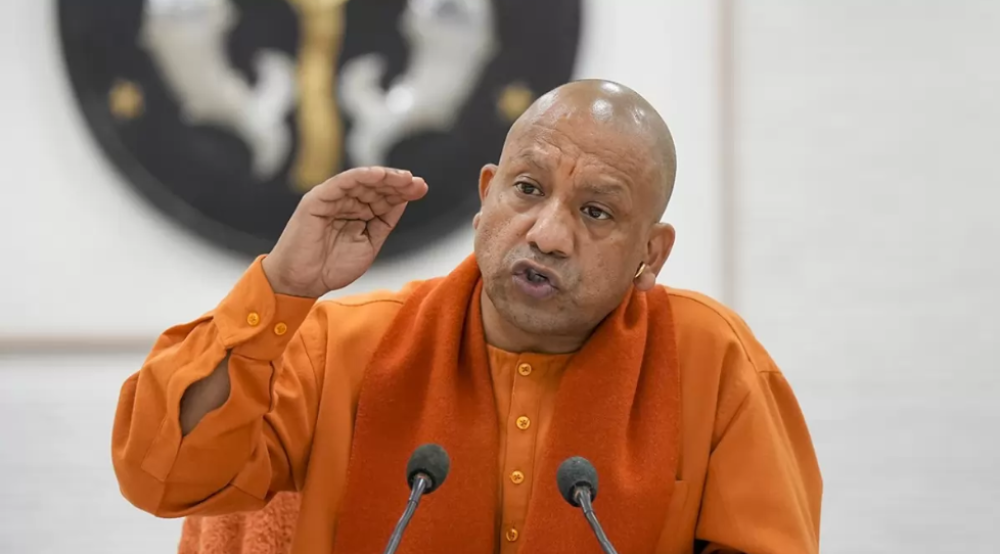 yogi