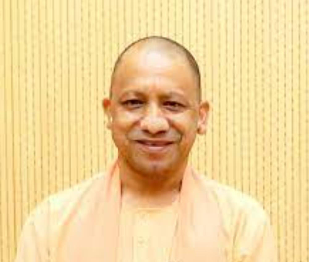 yogi
