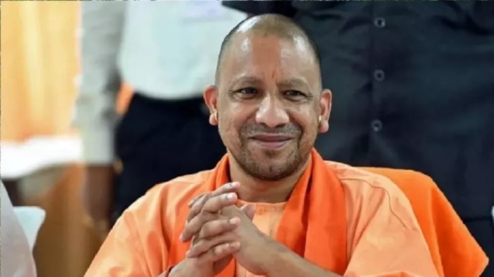 yogi